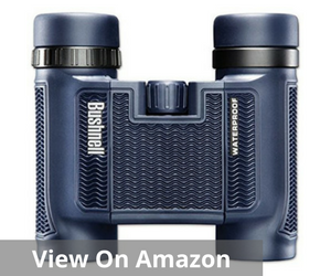 Bushnell H2O Waterproof/Fogproof Compact Roof Prism Binocular