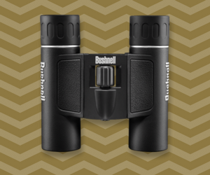 compact binoculars