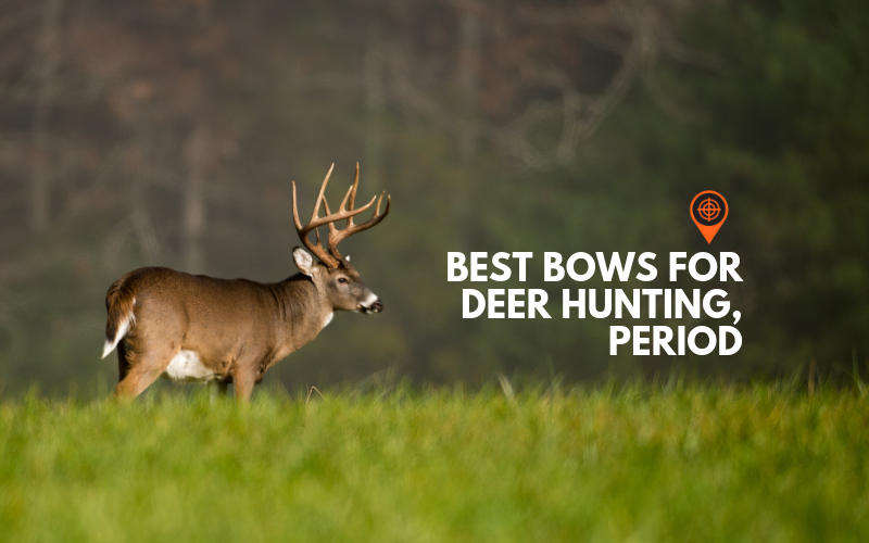 Best Compound Bows for Deer Hunting 2021 | Rangefinder Now