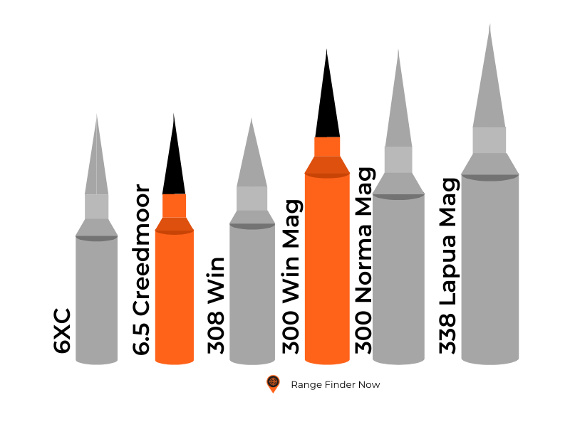 300 Win Mag vs 6.5 Creedmoor